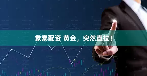 象泰配资 黄金，突然直拉！